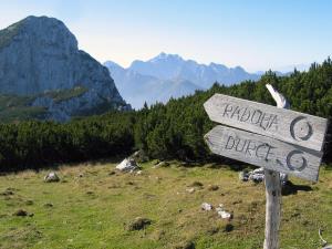 Na Raduho vodi več markiranih poti