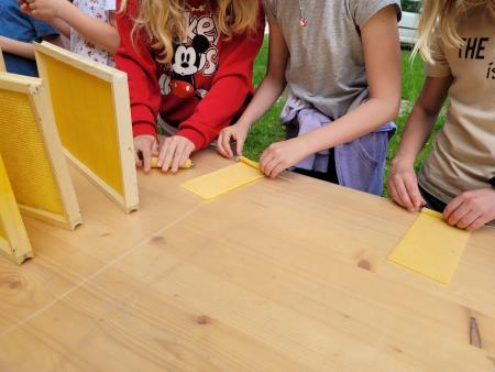 Obeležitev svetovnega dneva čebel v Lučah