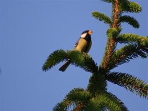 Do jeseni bomo prenehali z deli v mejicah in na obrežjih vodotokov