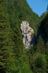 Skalni samotar Igla (Foto: M. Lenarčič)