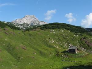 Planina Vodotočnik (Foto: Miha Robnik)