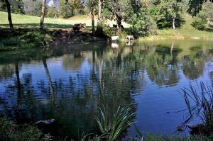 Jezero pri Jezerniku