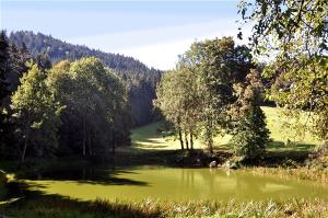 Jezero pri Jezerniku