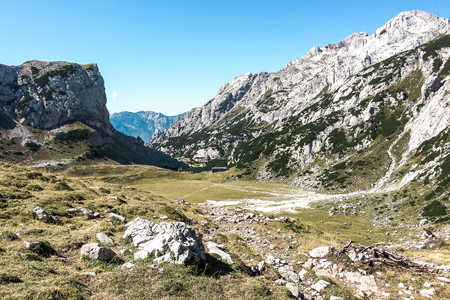 Korošica