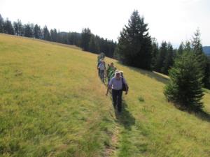 Pohod Smrekovec - Loka - Luče