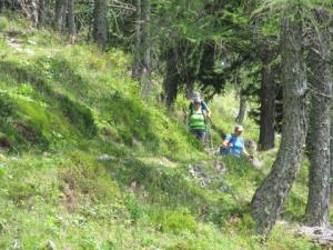 Pohod Smrekovec - Loka - Luče